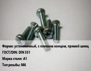 Винт установочный, с плоским концом, прямой шлиц DIN 551 Сталь: A1 М6